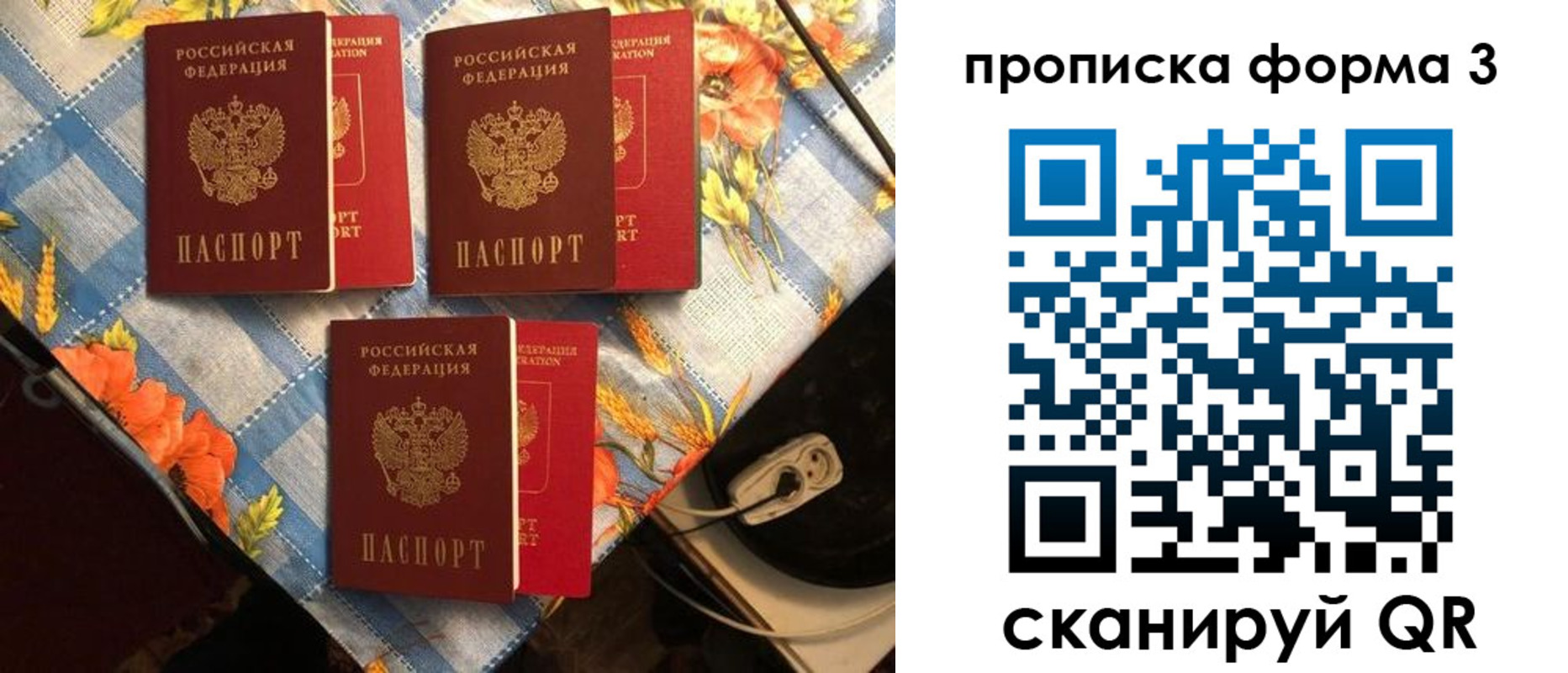 где прописаться в Коле